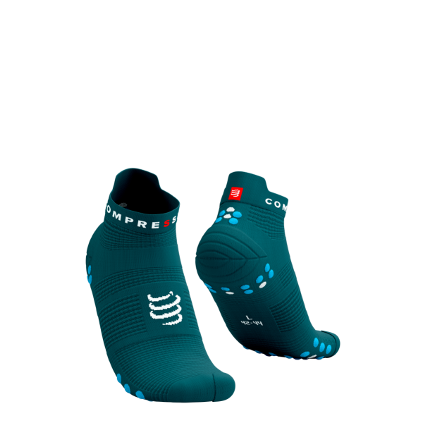 PRO RACING SOCKS V4.0 RUN LOW